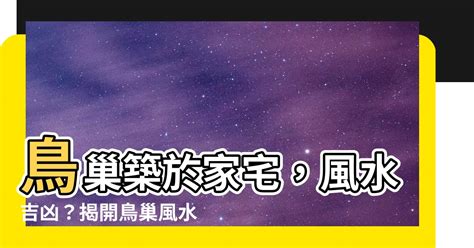 喜鵲築巢風水|揭開家中鳥巢好運密碼